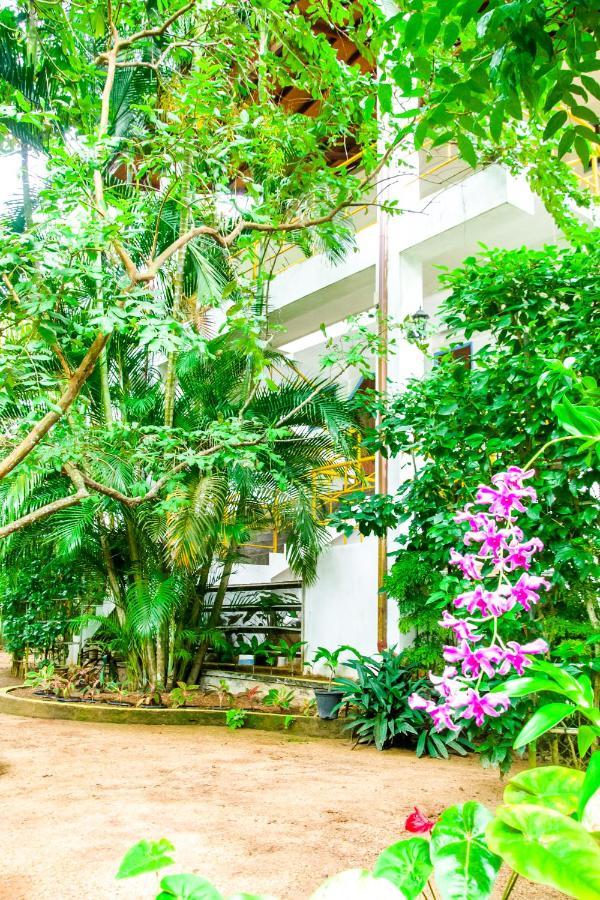 No Name Rest Hotel Unawatuna Ngoại thất bức ảnh